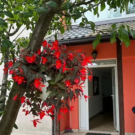 Casa Al-amal